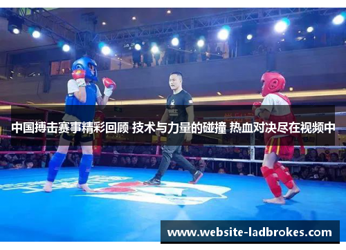 中国搏击赛事精彩回顾 技术与力量的碰撞 热血对决尽在视频中
