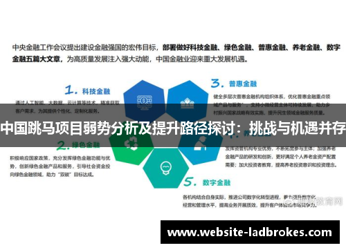 中国跳马项目弱势分析及提升路径探讨：挑战与机遇并存